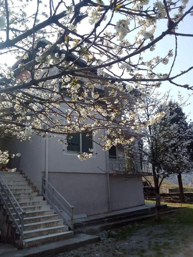 Agroturizem Hotel Vila Franceze Koman Exterior photo