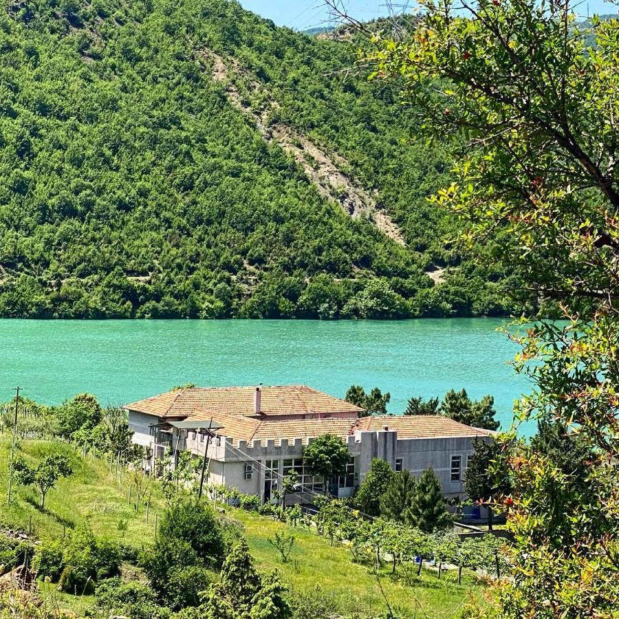 Agroturizem Hotel Vila Franceze Koman Exterior photo